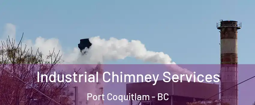  Industrial Chimney Services Port Coquitlam - BC