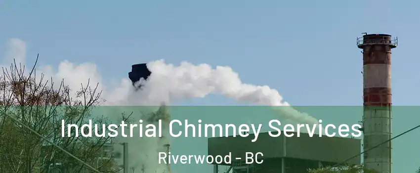  Industrial Chimney Services Riverwood - BC