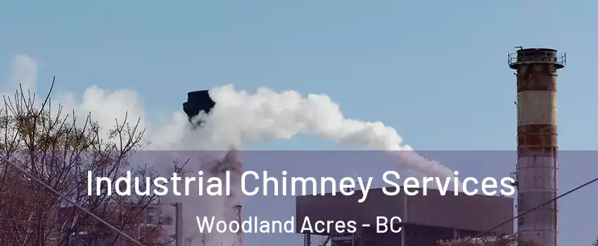  Industrial Chimney Services Woodland Acres - BC
