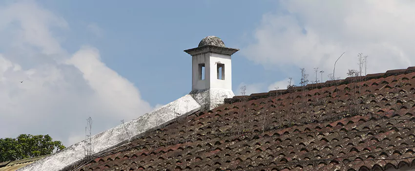 Wind-Resistant Chimney Caps Installation and Repair Services in Lincoln Park, British Columbia