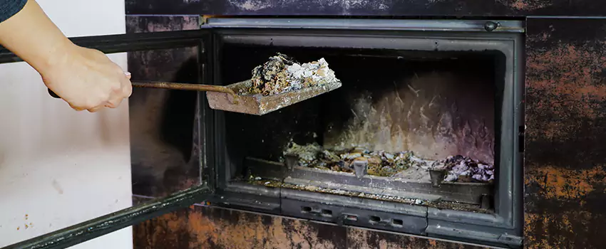 Wood Burning Chimney Odor Removal in Lincoln Park, British Columbia