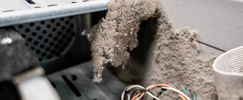 Clogged Dryer Vent Lint Cleaning in Lincoln Park, British Columbia