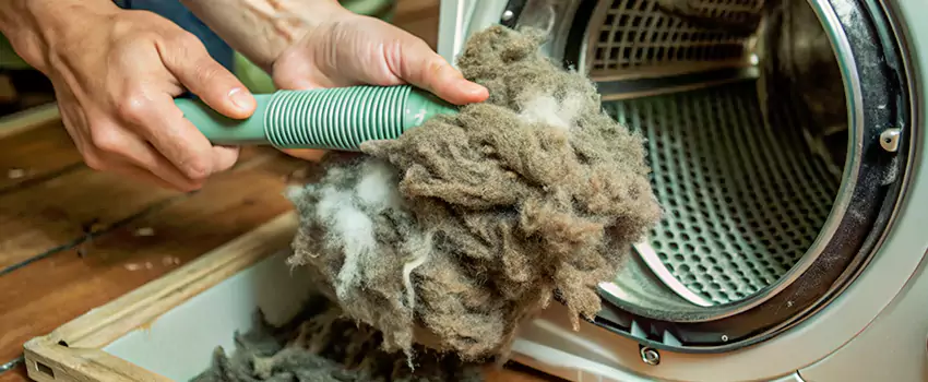 Best Dryer Lint Removal Company in Lincoln Park, British Columbia