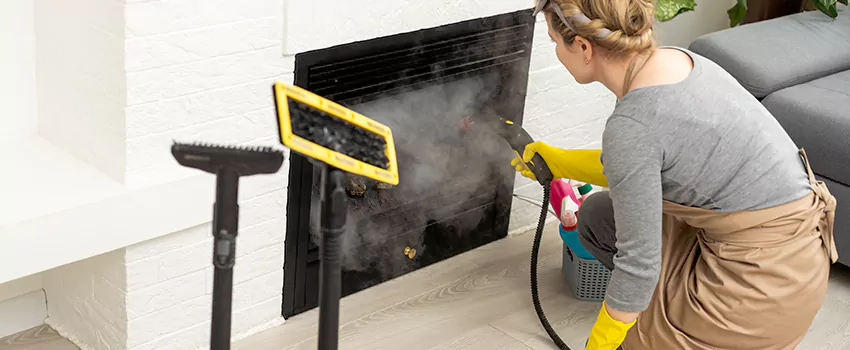 Fireplace Doors Cleaning in Port Coquitlam, British Columbia