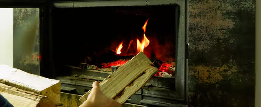 Wood-Burning Fireplace Smell Removal Services in Lincoln Park, British Columbia