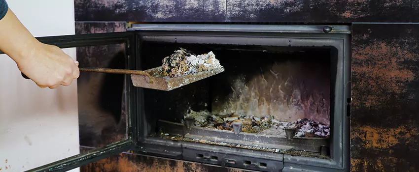 Fireplace Interior Sweeping in Lincoln Park, BC