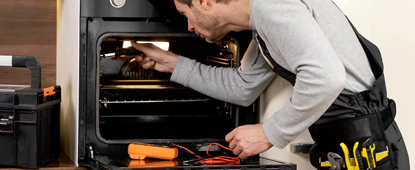 Cost of Electric Fireplace Repair Service in Lincoln Park, British Columbia