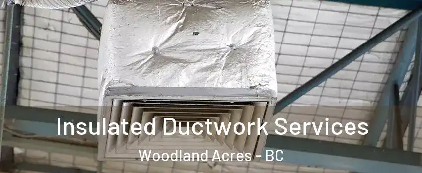  Insulated Ductwork Services Woodland Acres - BC