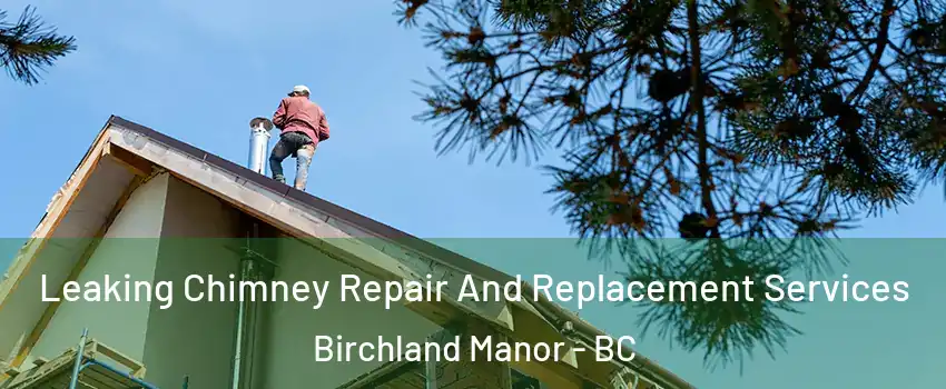  Leaking Chimney Repair And Replacement Services Birchland Manor - BC