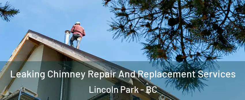  Leaking Chimney Repair And Replacement Services Lincoln Park - BC