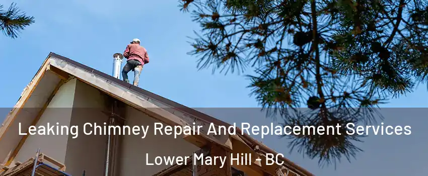  Leaking Chimney Repair And Replacement Services Lower Mary Hill - BC