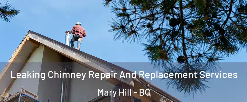  Leaking Chimney Repair And Replacement Services Mary Hill - BC