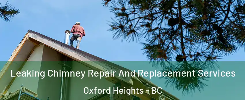  Leaking Chimney Repair And Replacement Services Oxford Heights - BC