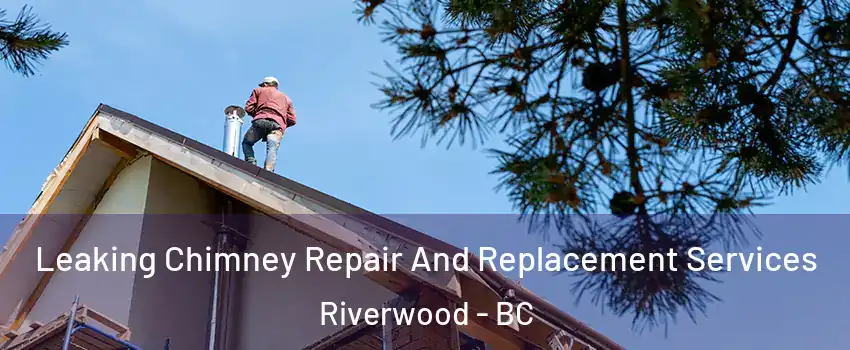  Leaking Chimney Repair And Replacement Services Riverwood - BC