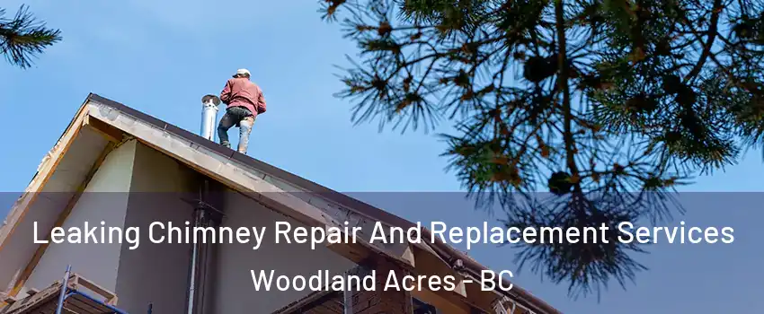  Leaking Chimney Repair And Replacement Services Woodland Acres - BC