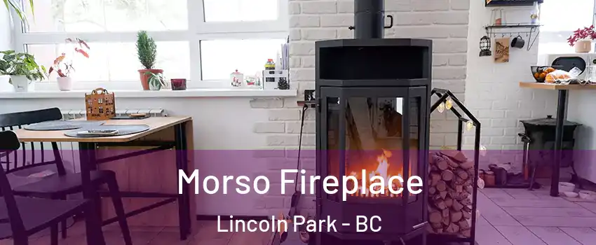  Morso Fireplace Lincoln Park - BC