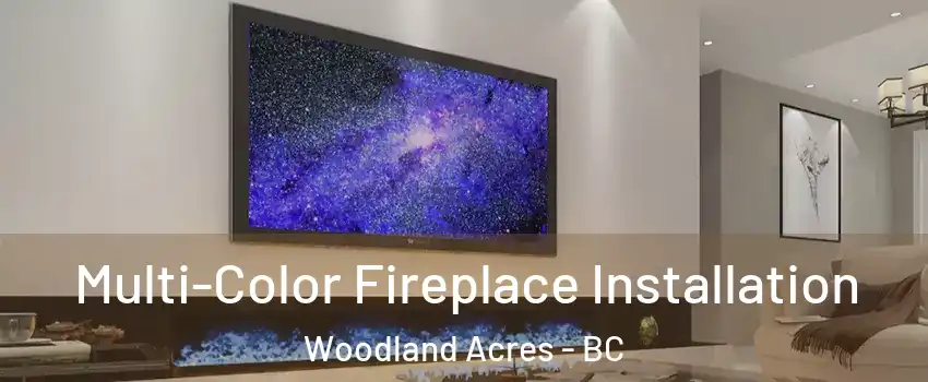  Multi-Color Fireplace Installation Woodland Acres - BC