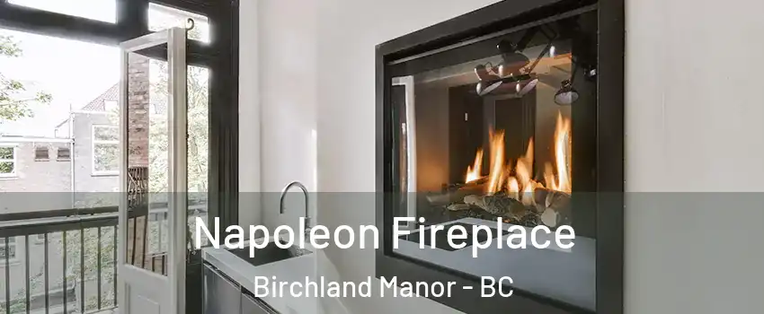  Napoleon Fireplace Birchland Manor - BC