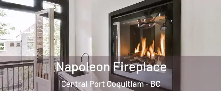  Napoleon Fireplace Central Port Coquitlam - BC
