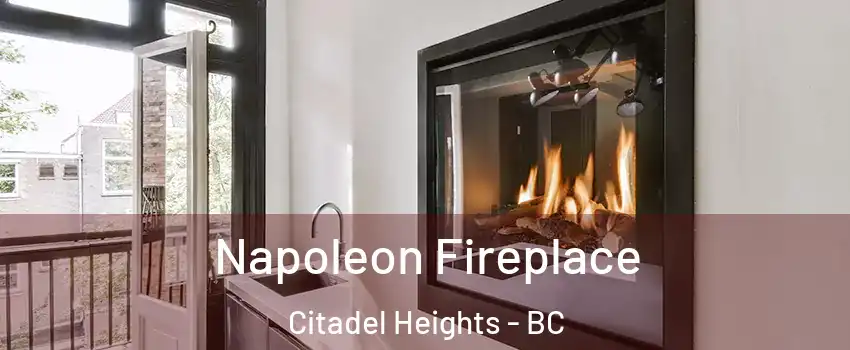 Napoleon Fireplace Citadel Heights - BC