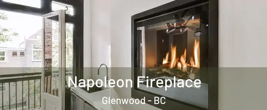  Napoleon Fireplace Glenwood - BC