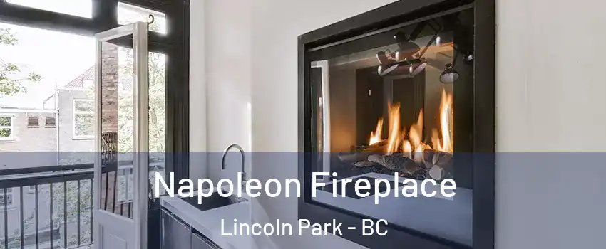  Napoleon Fireplace Lincoln Park - BC