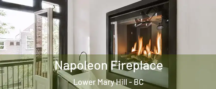  Napoleon Fireplace Lower Mary Hill - BC