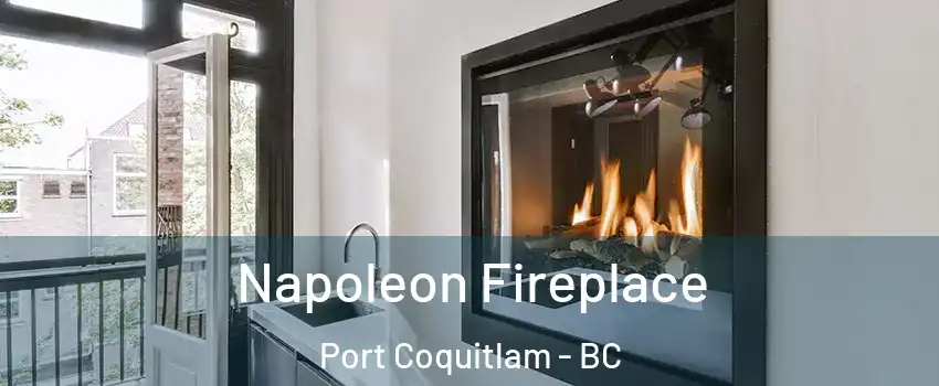  Napoleon Fireplace Port Coquitlam - BC