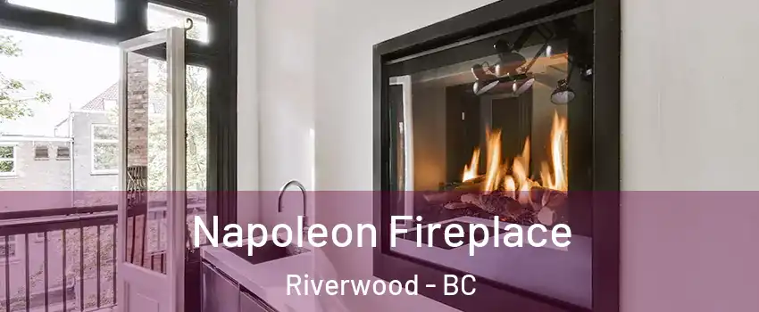  Napoleon Fireplace Riverwood - BC