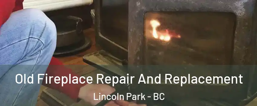 Old Fireplace Repair And Replacement Lincoln Park - BC