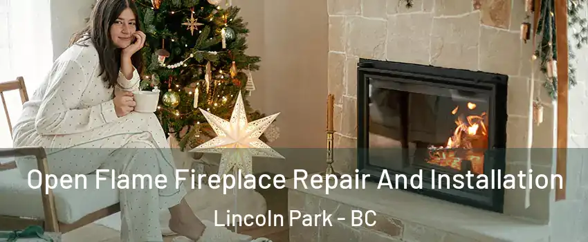  Open Flame Fireplace Repair And Installation Lincoln Park - BC