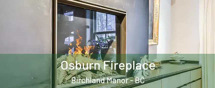  Osburn Fireplace Birchland Manor - BC