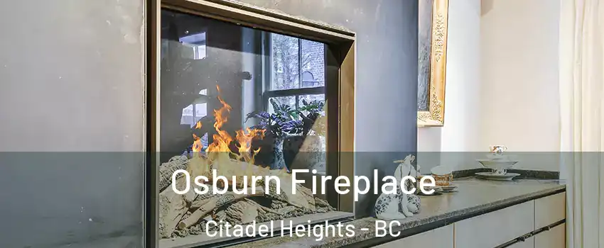  Osburn Fireplace Citadel Heights - BC