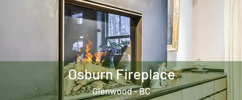  Osburn Fireplace Glenwood - BC