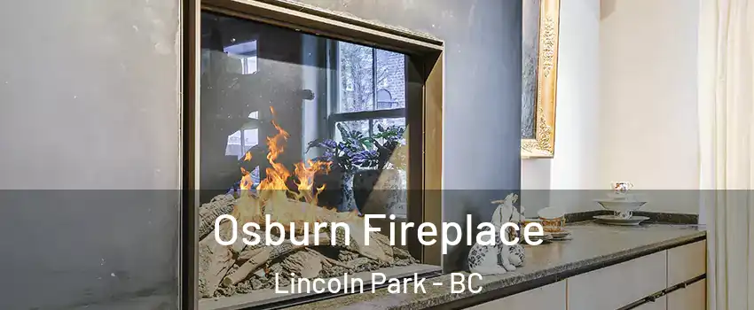  Osburn Fireplace Lincoln Park - BC