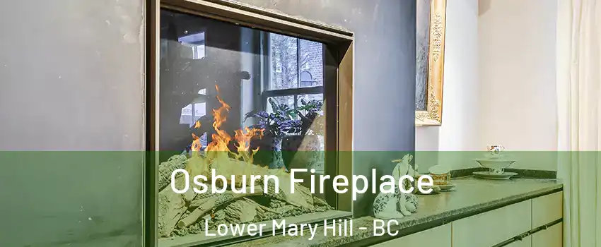  Osburn Fireplace Lower Mary Hill - BC
