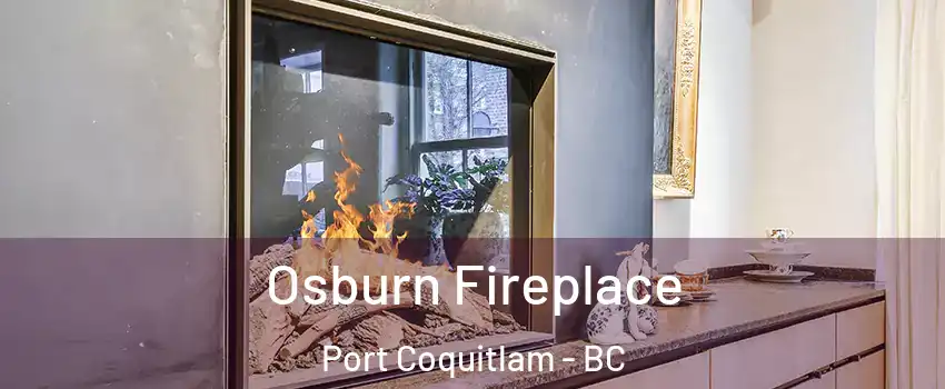  Osburn Fireplace Port Coquitlam - BC