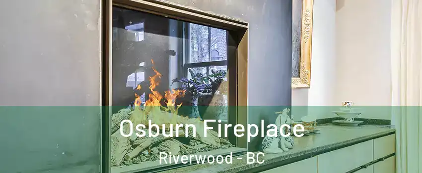  Osburn Fireplace Riverwood - BC