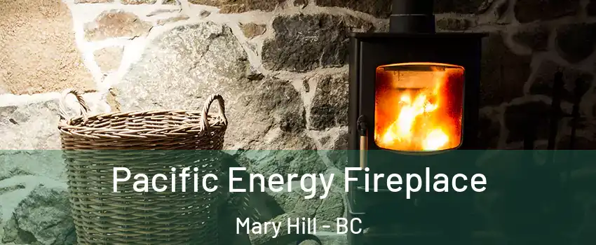  Pacific Energy Fireplace Mary Hill - BC