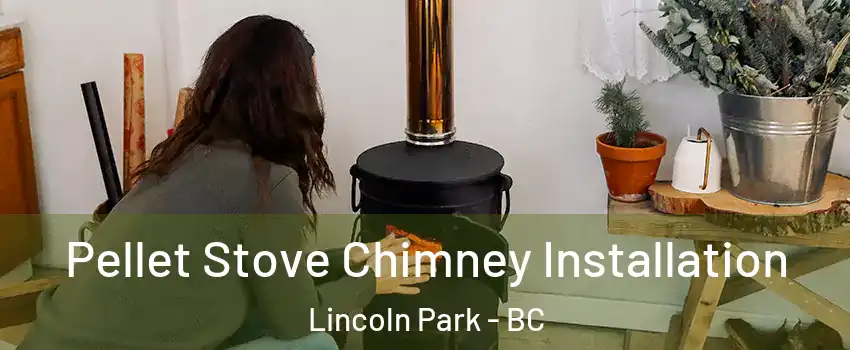  Pellet Stove Chimney Installation Lincoln Park - BC