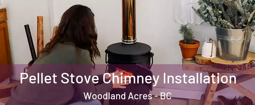  Pellet Stove Chimney Installation Woodland Acres - BC
