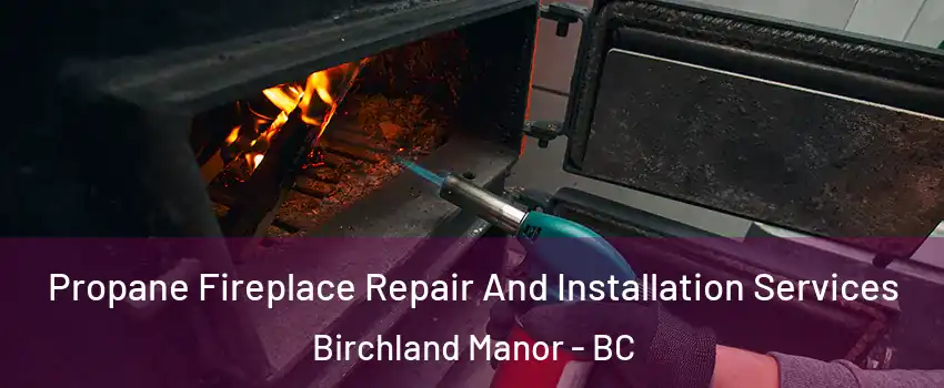 Propane Fireplace Repair And Installation Services Birchland Manor - BC