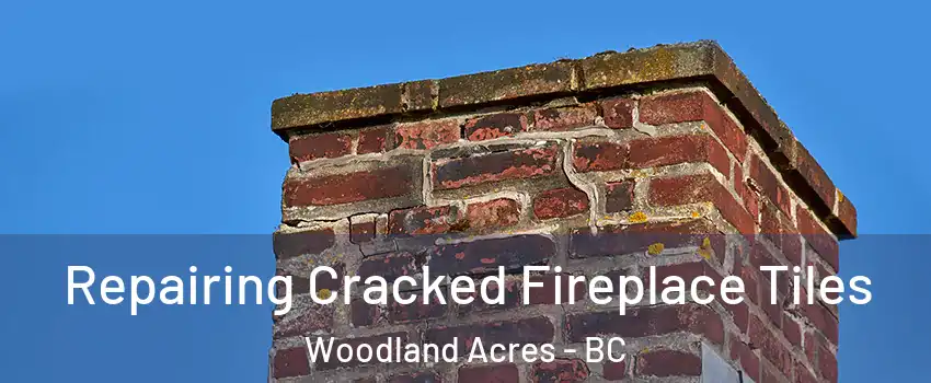  Repairing Cracked Fireplace Tiles Woodland Acres - BC