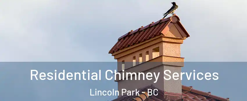  Residential Chimney Services Lincoln Park - BC