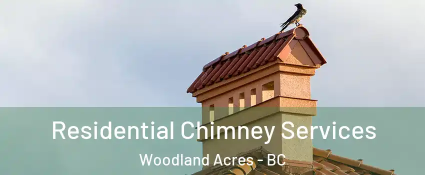  Residential Chimney Services Woodland Acres - BC