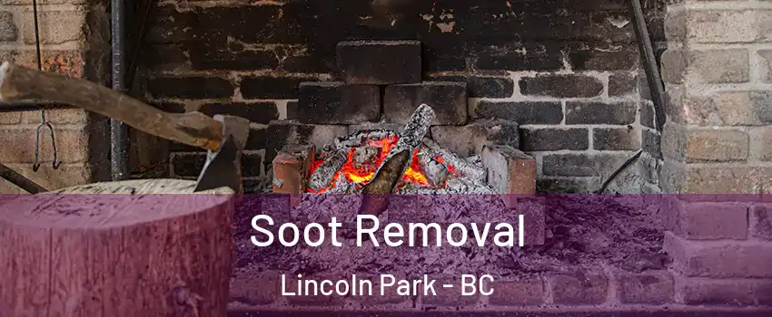  Soot Removal Lincoln Park - BC