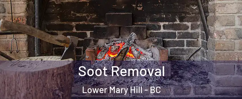  Soot Removal Lower Mary Hill - BC