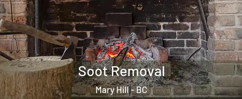  Soot Removal Mary Hill - BC