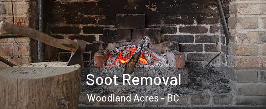  Soot Removal Woodland Acres - BC