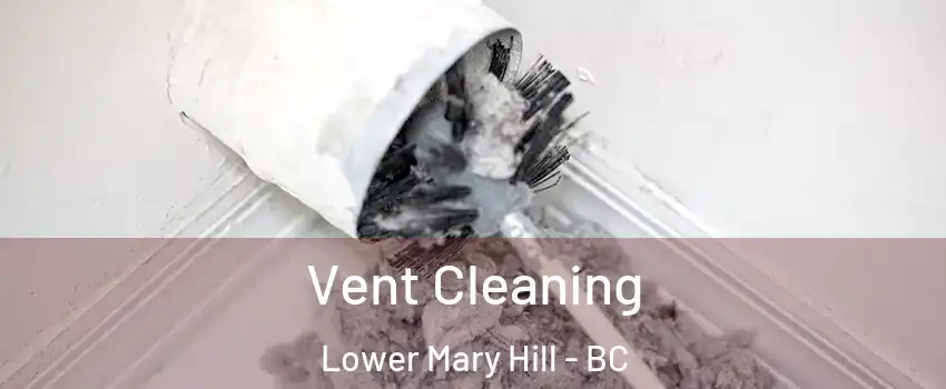  Vent Cleaning Lower Mary Hill - BC